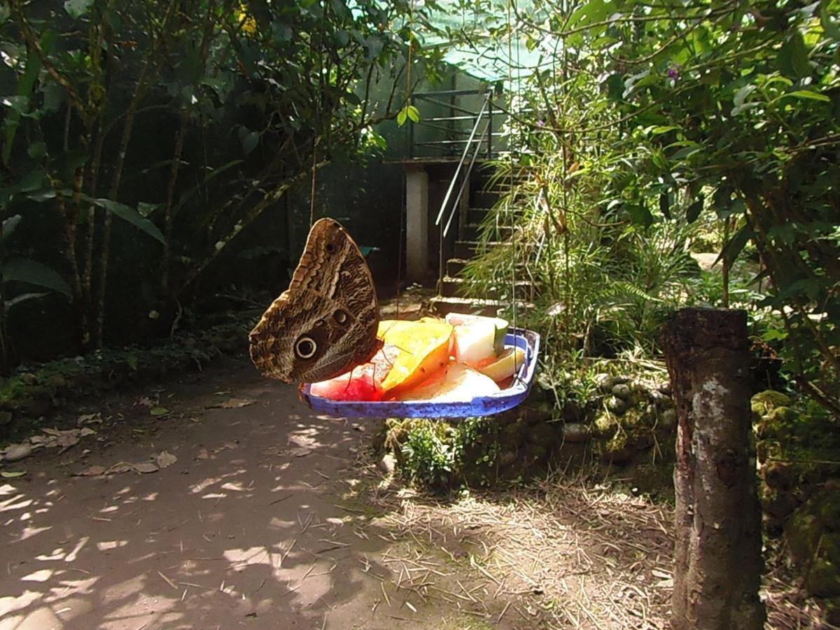 Hostal Pablo'S House Machu Picchu Exteriér fotografie